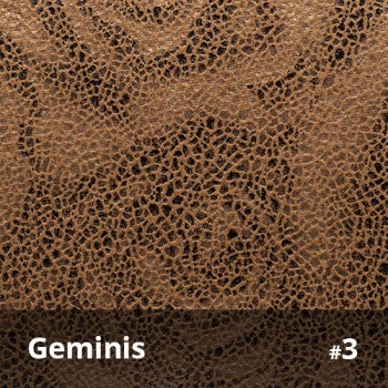 Geminis 3
